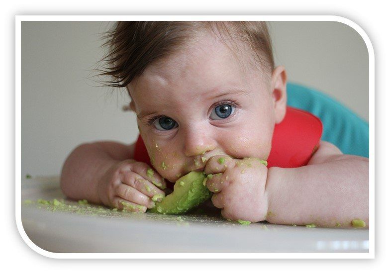 Curso Universitario de Especialización en alimentación complementaria infantil autorregulada